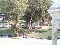 XONPHONE 5(A5404)              2177